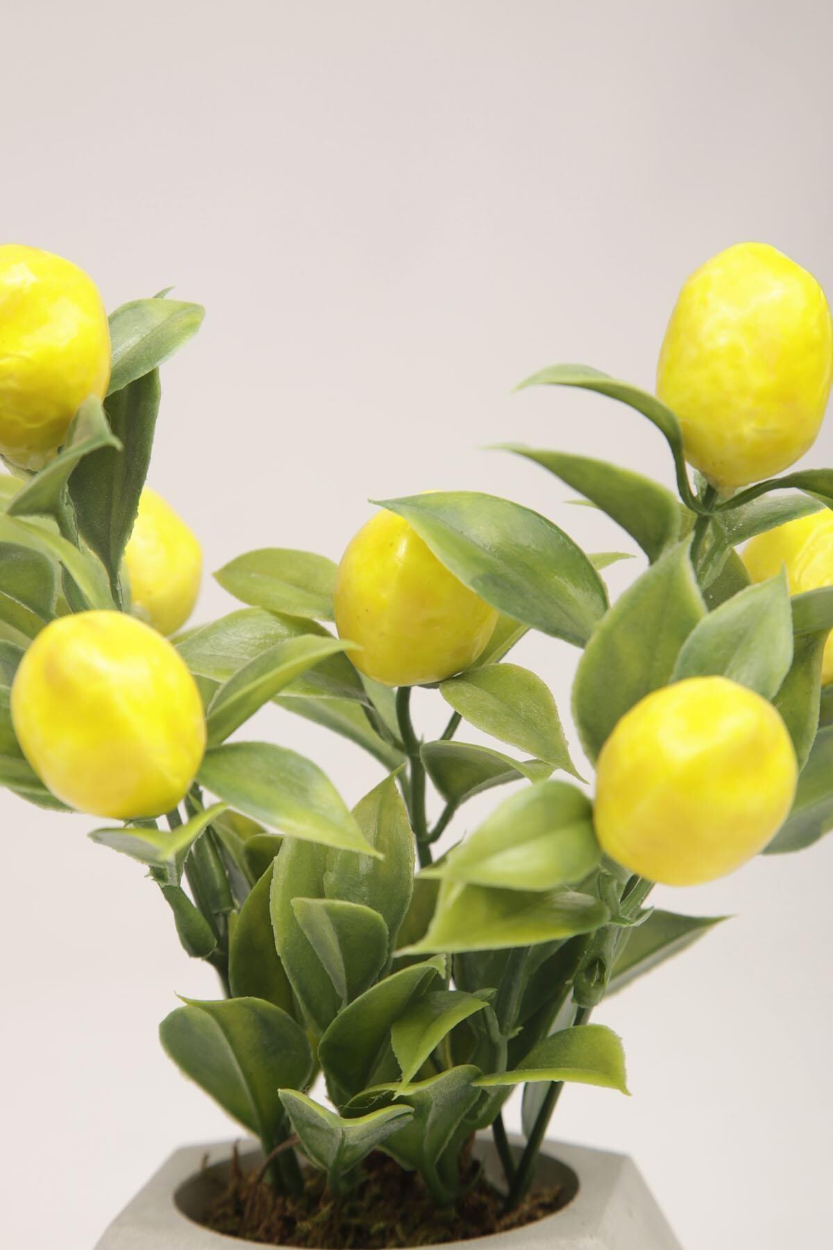 Yapay Limon Ağacı Beton Saksıda Dekoratif Yapay Çiçek Ve Bitki Tanzimi