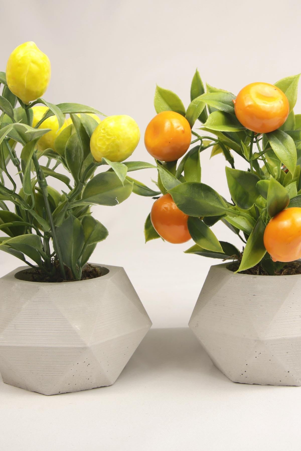 Yapay Bitki Geometrik Beton Saksıda Dekoratif Limon Ve Portakal Ağacı Tanzimi