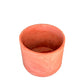 Orta Boy Terracotta Saksı 4 Litre